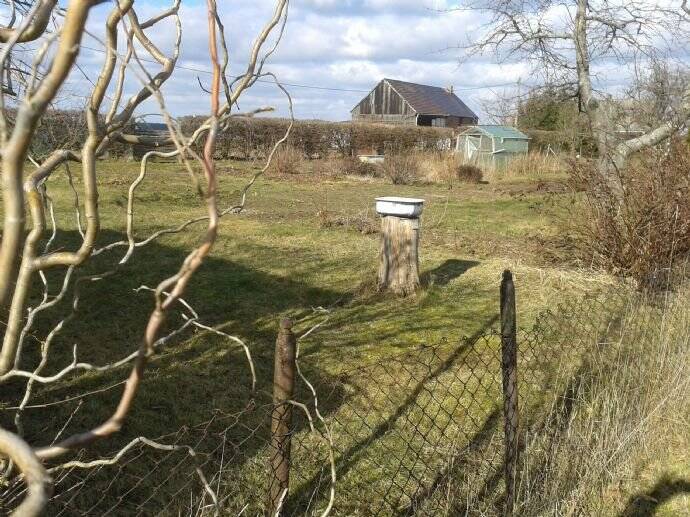 Bild 6