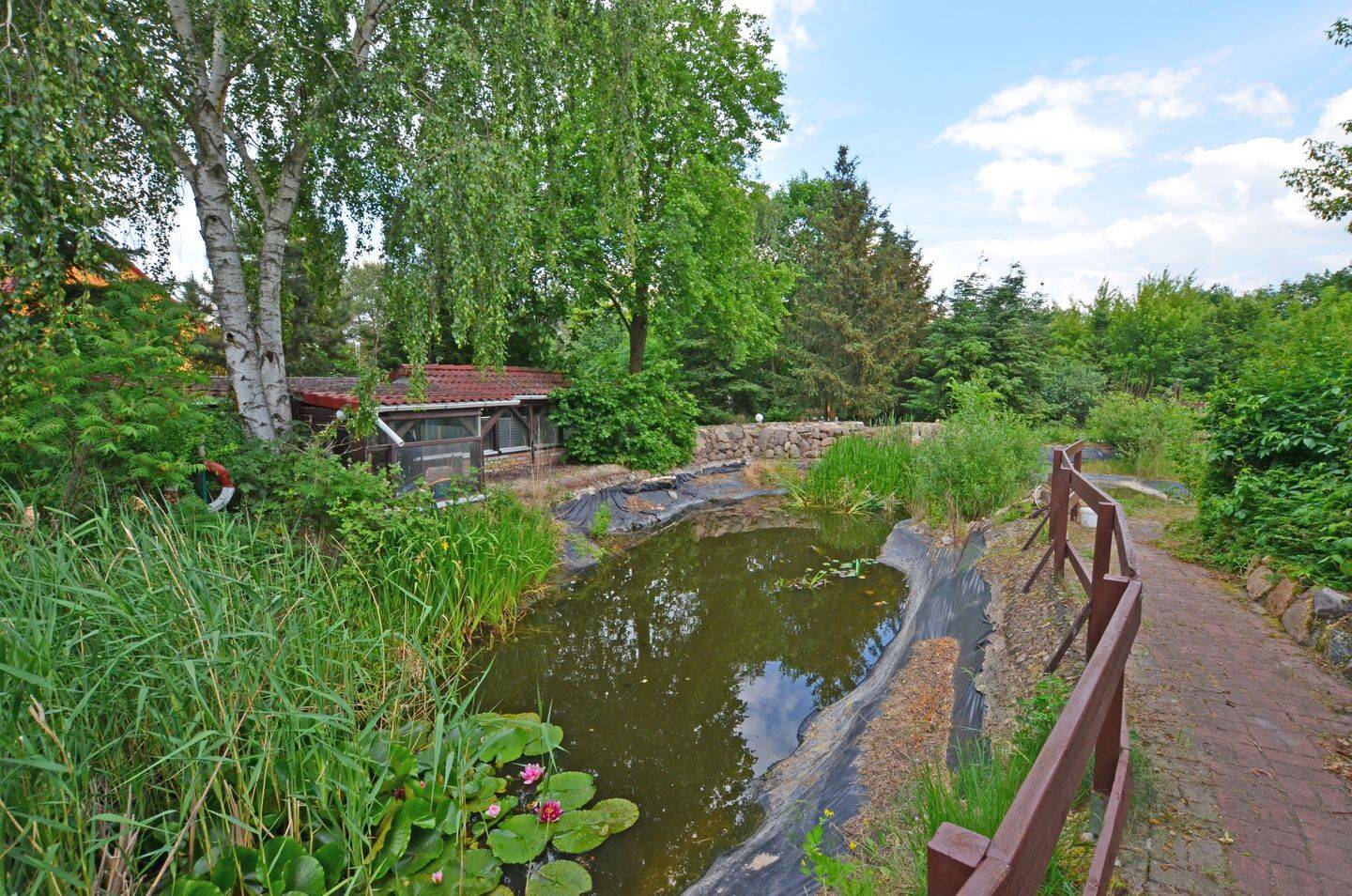 Bild 9