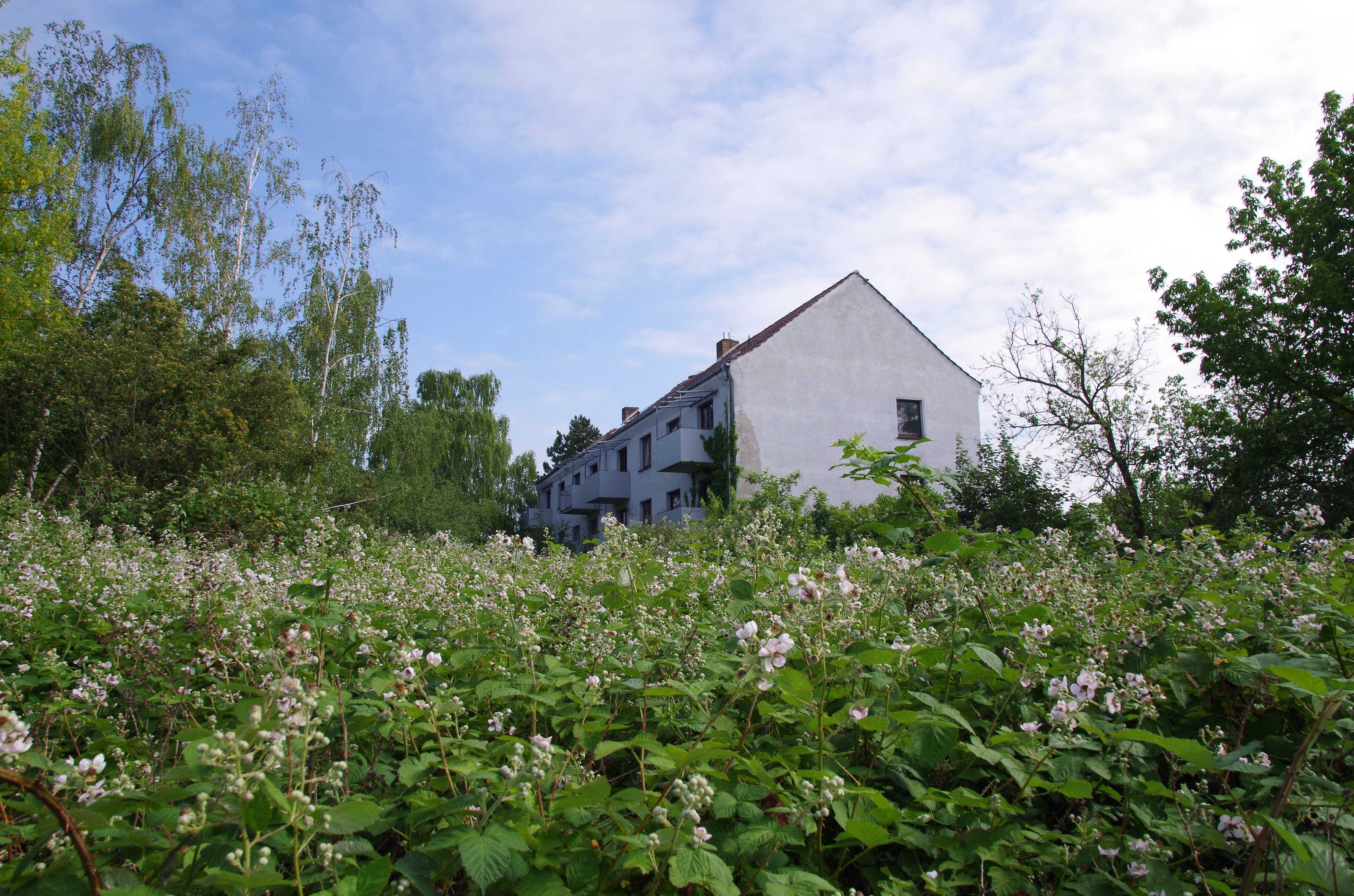 Bild 2