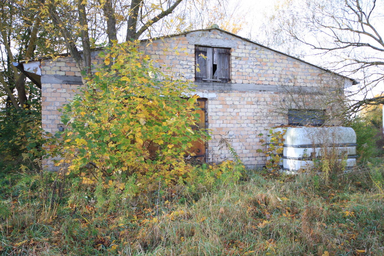 Bild 8