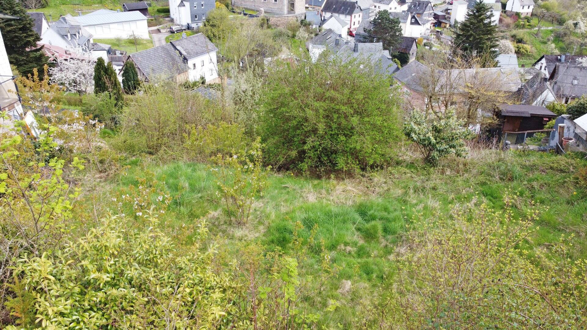 image-69981193