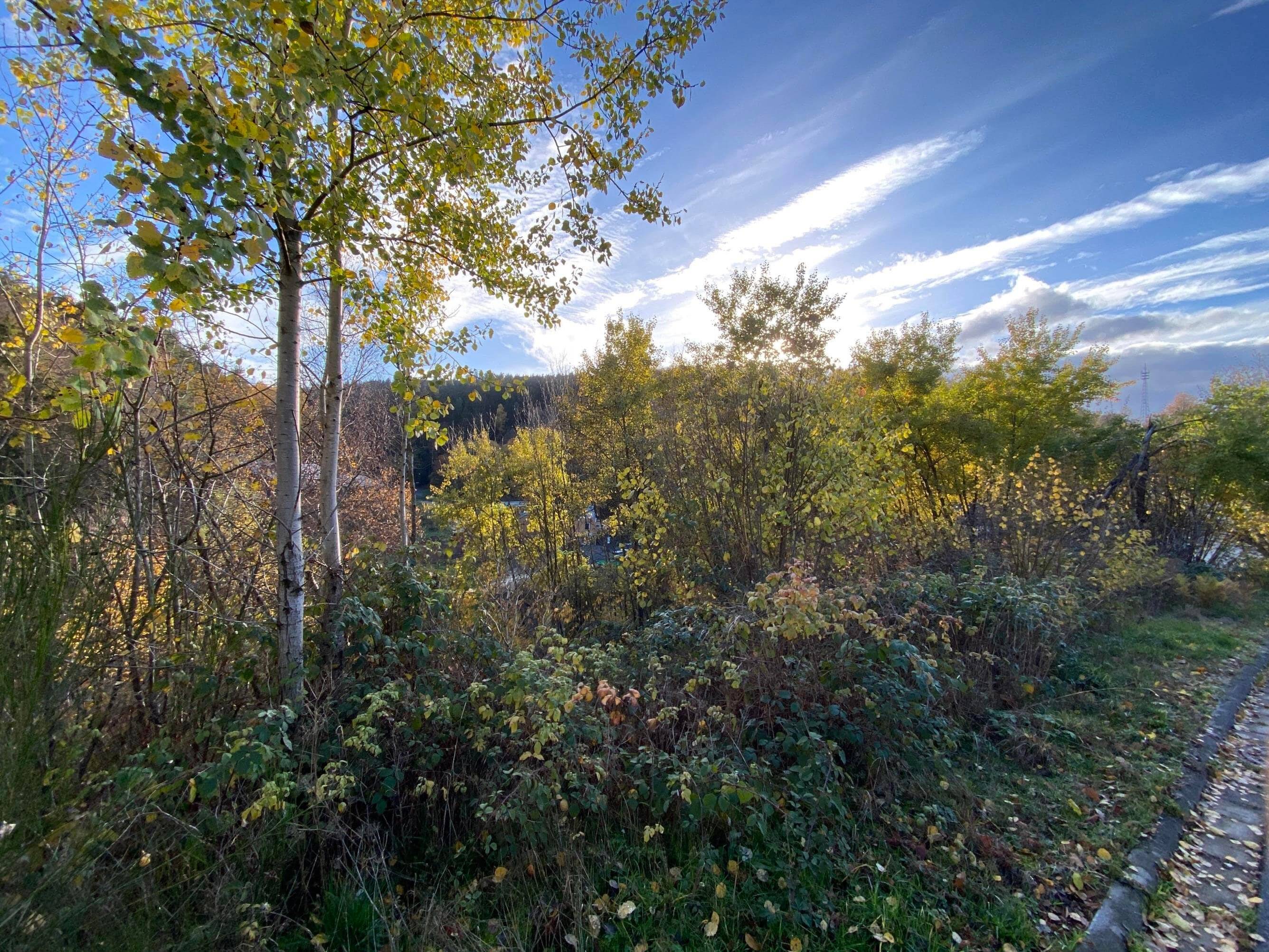 image-69981104