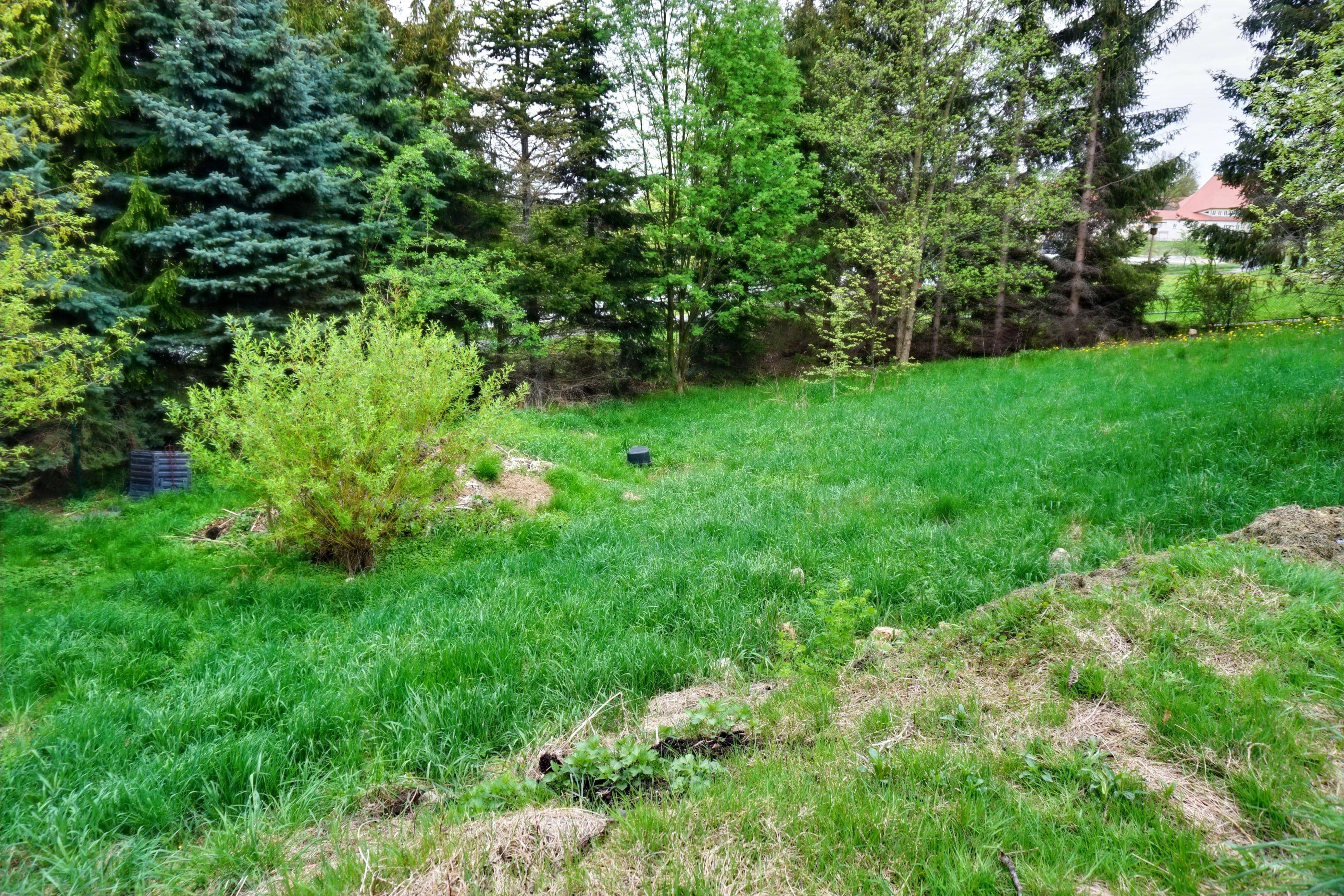 image-69981351