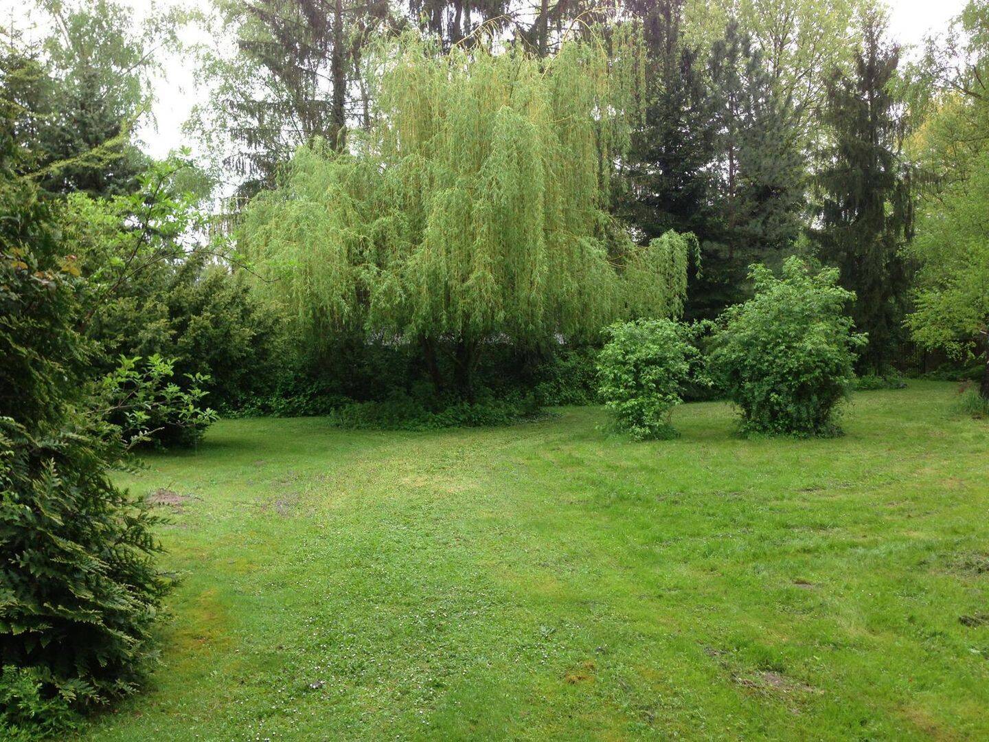 image-69981478
