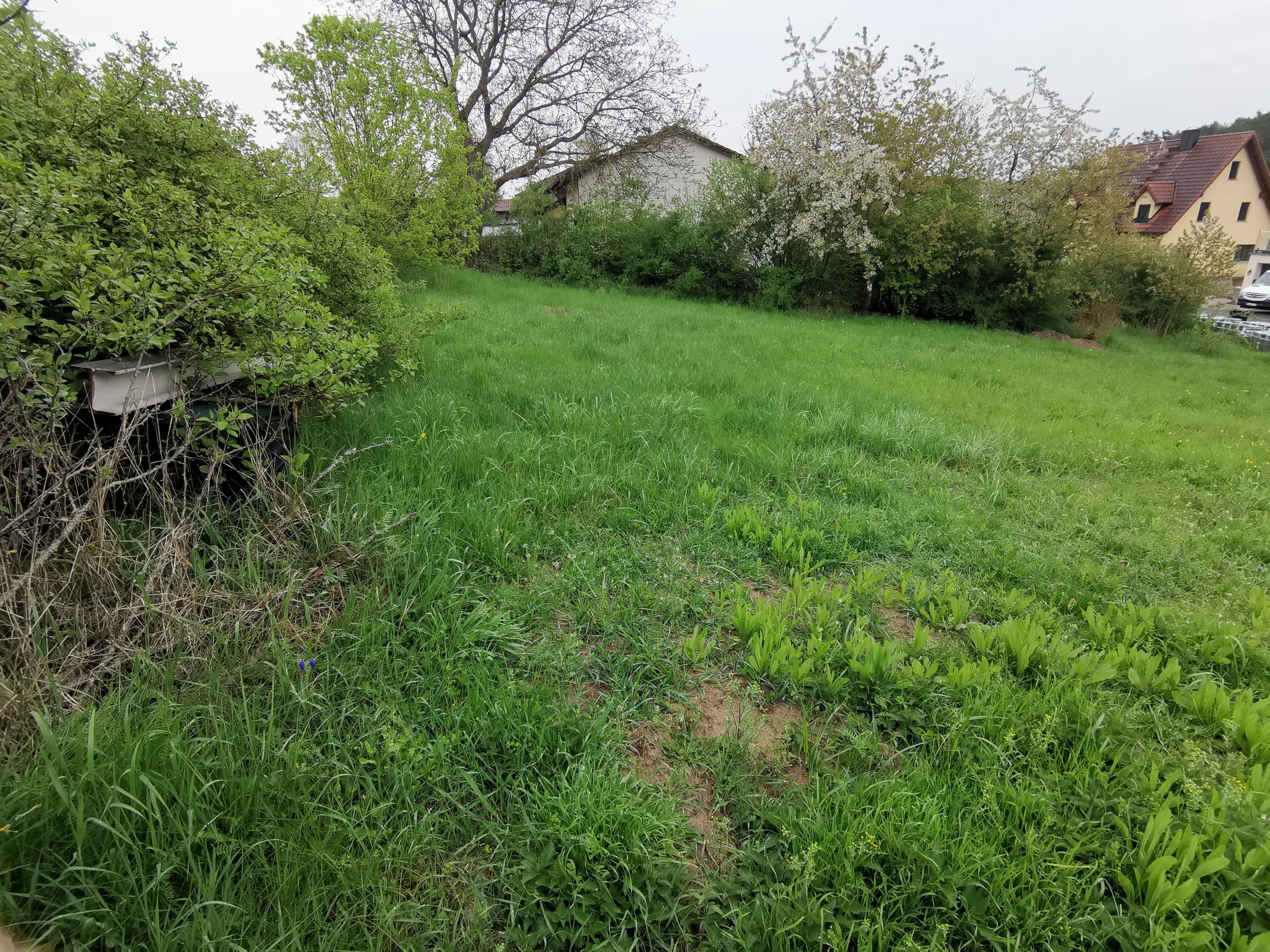 image-69981943