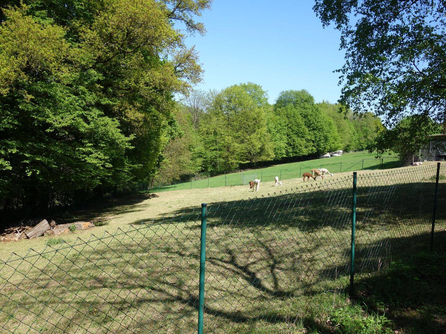 Bild 6