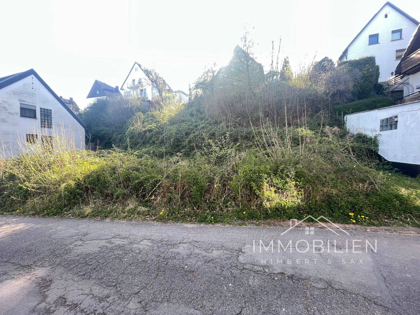Bild 5