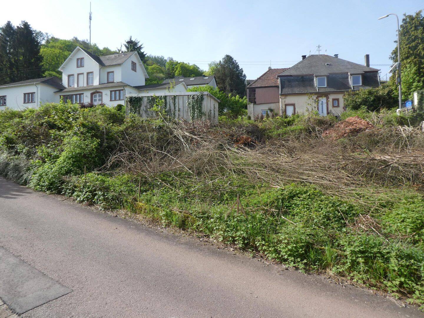 Bild 10
