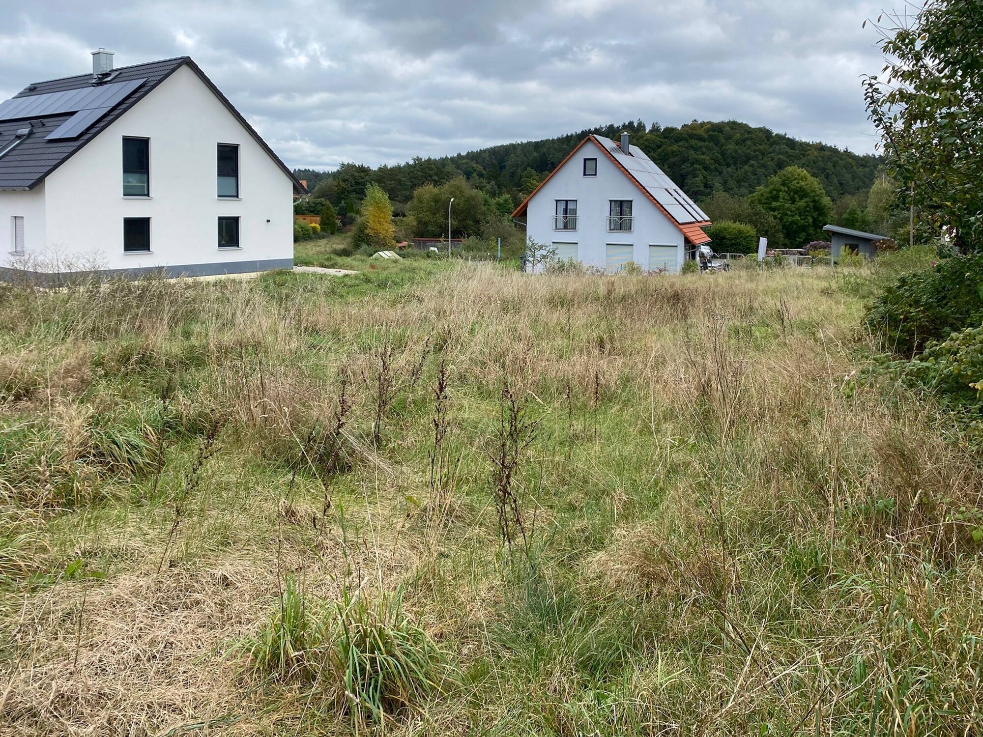 Bild 7