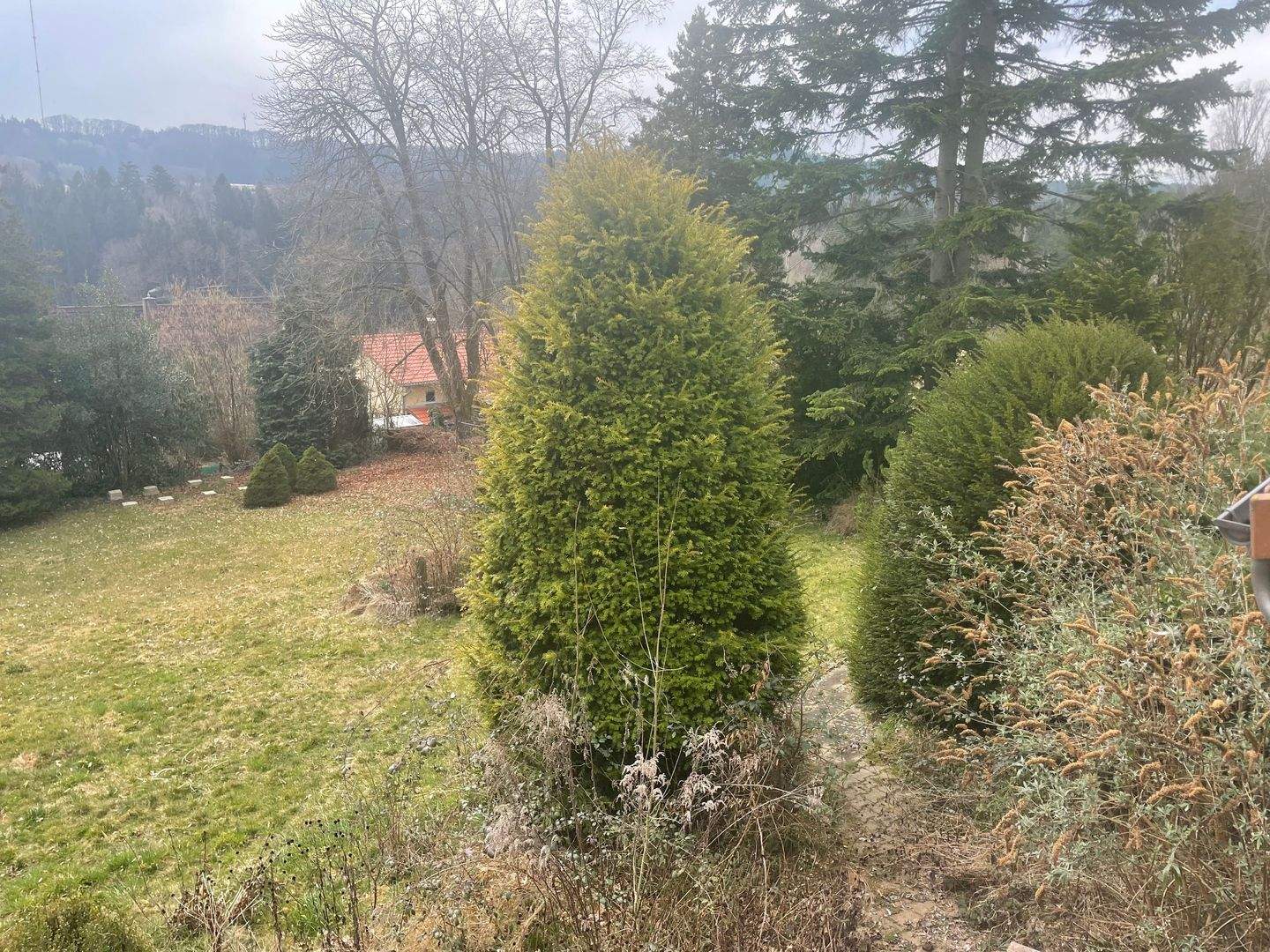 Bild 7