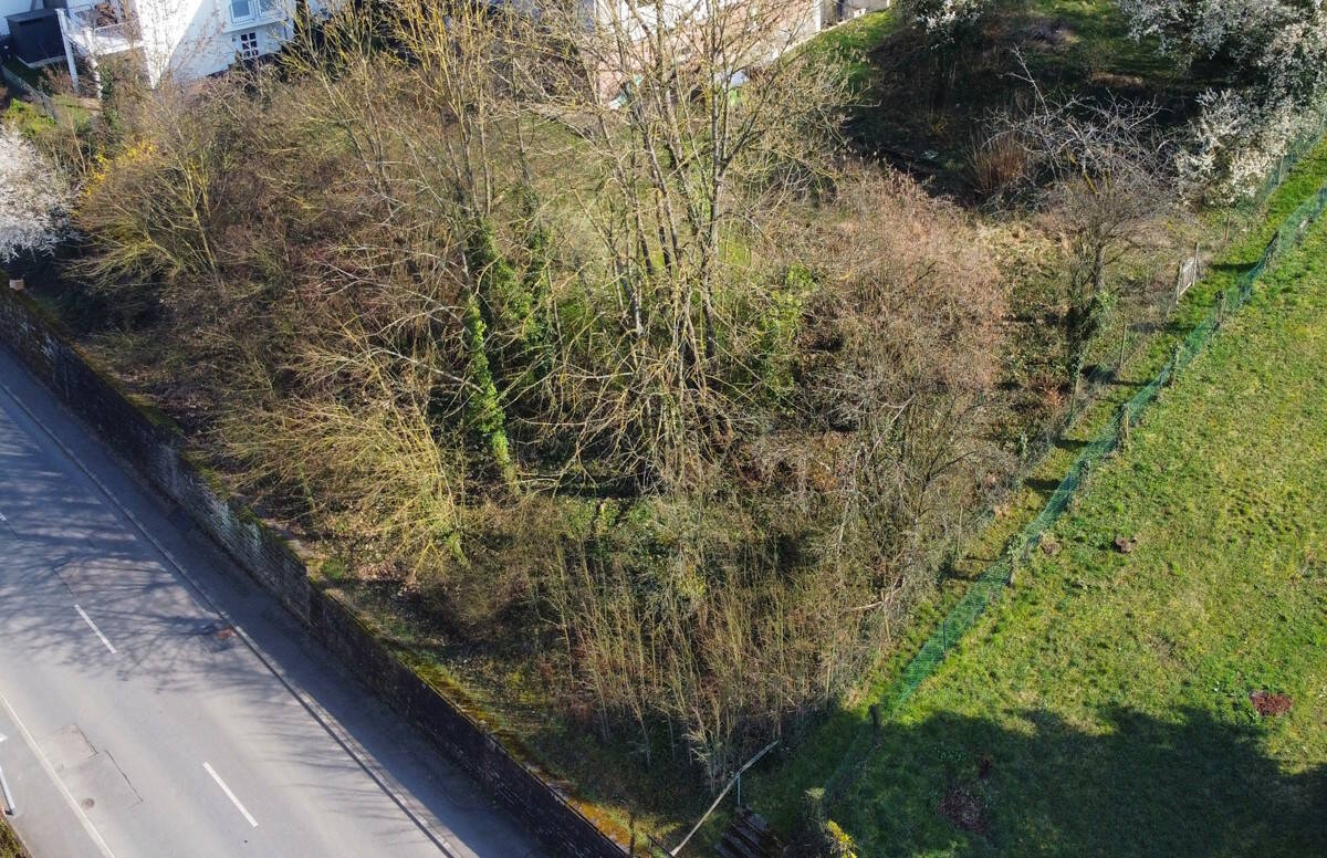 Bild 7