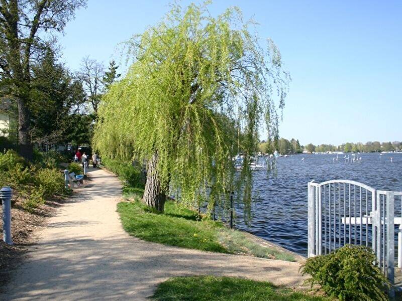 Bild 11