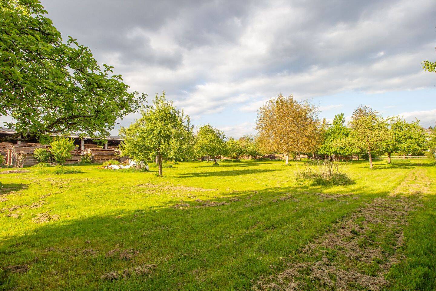 Bild 9