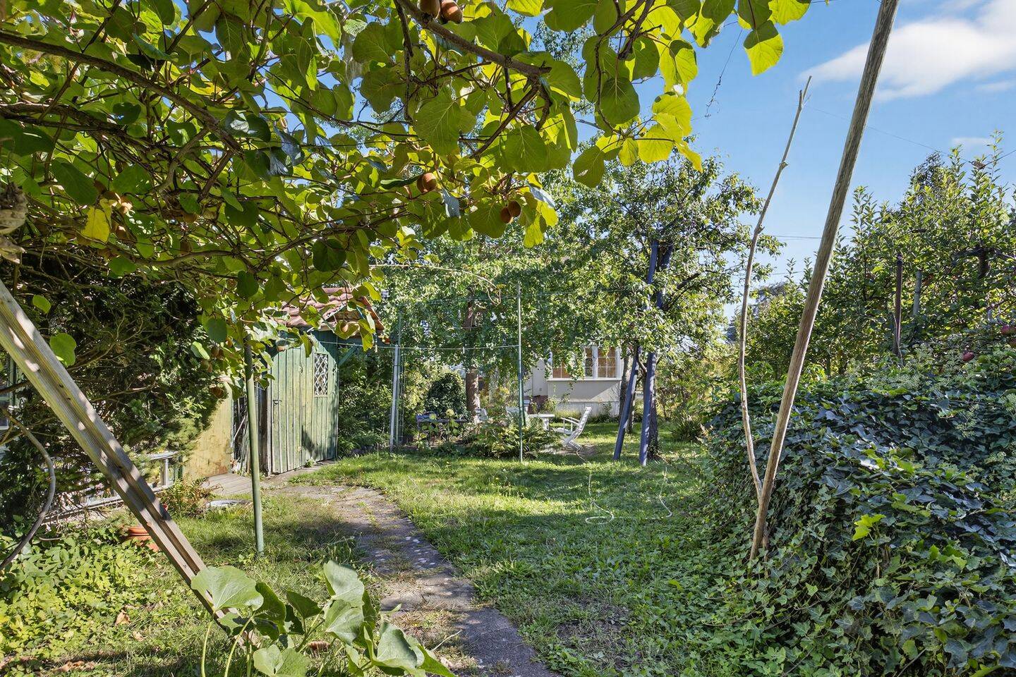 Bild 6
