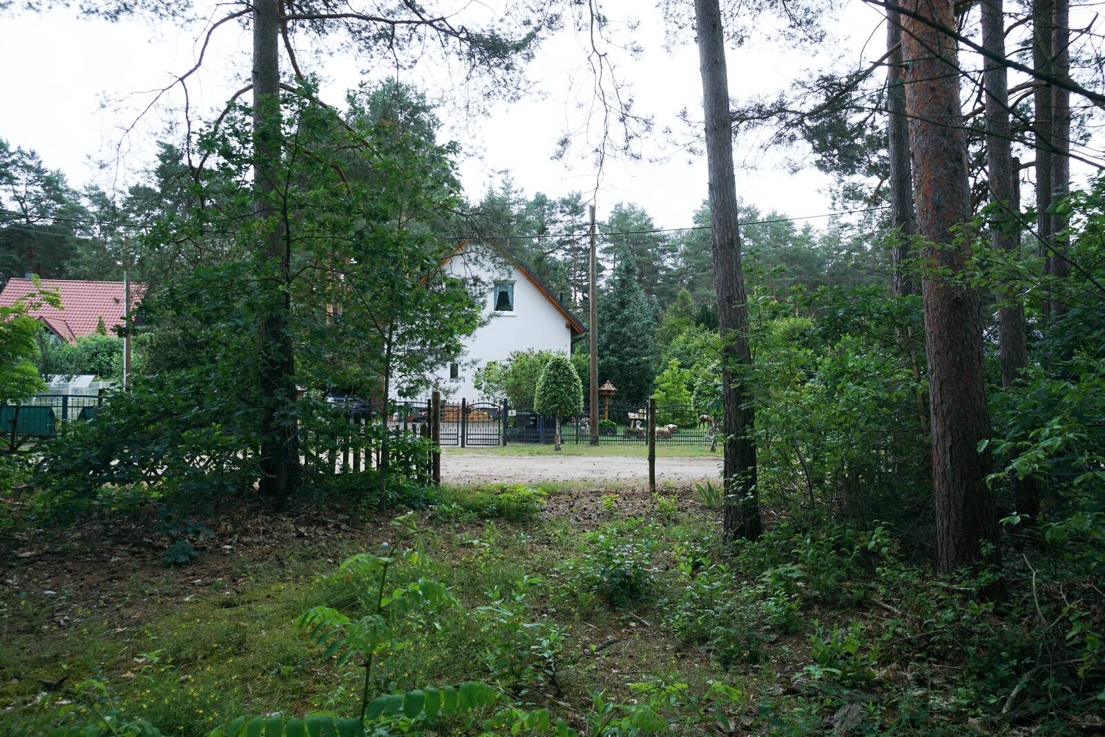 Bild 8
