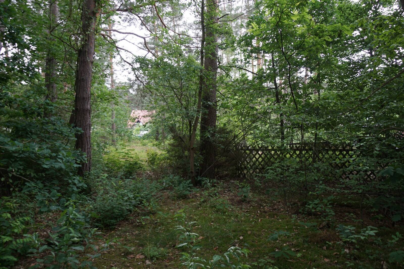 Bild 9