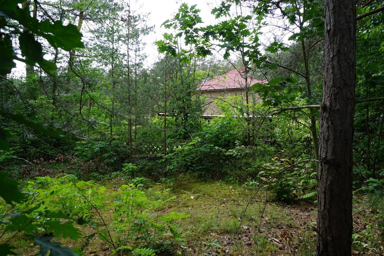 Bild 10