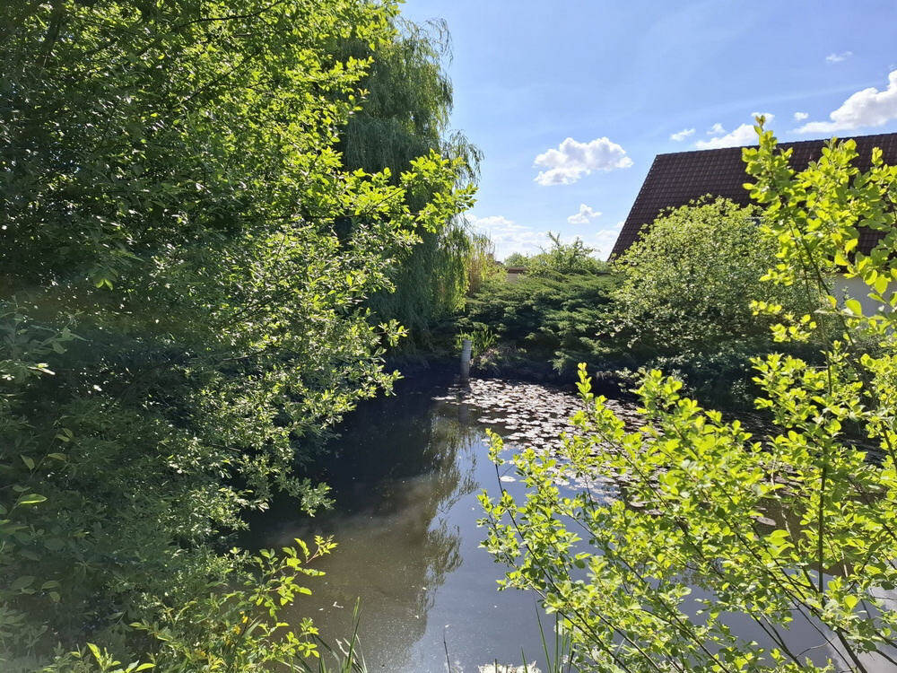 Bild 10