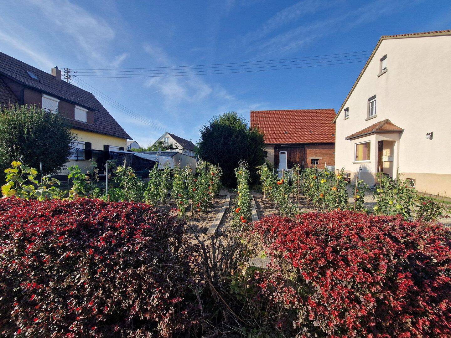 Bild 7