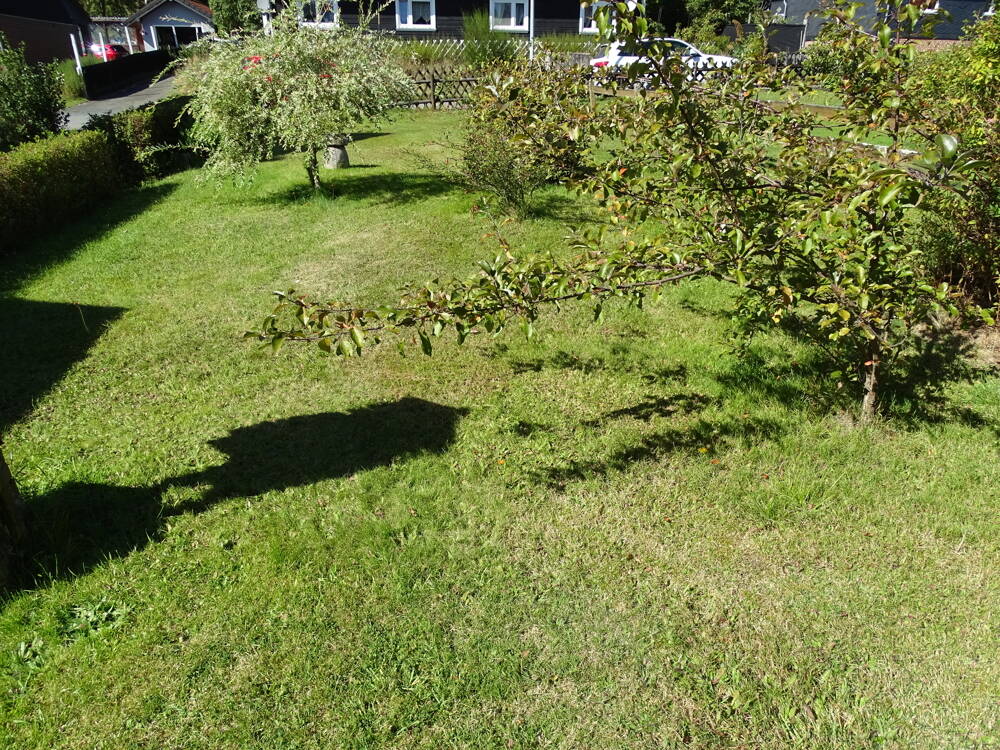 Bild 7