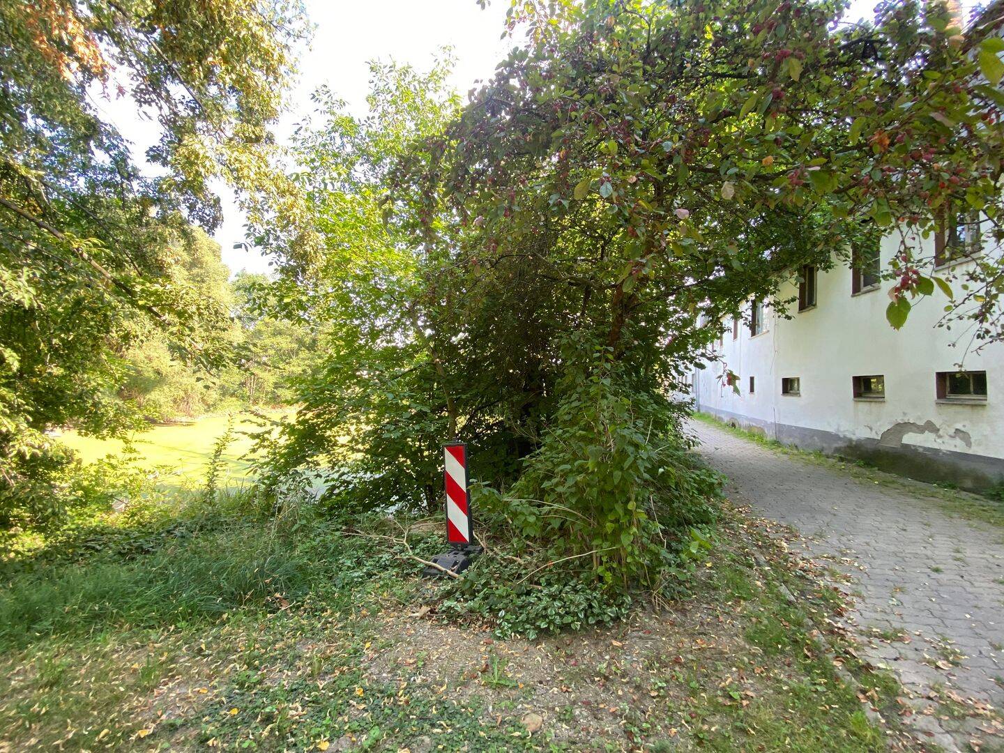 Bild 8