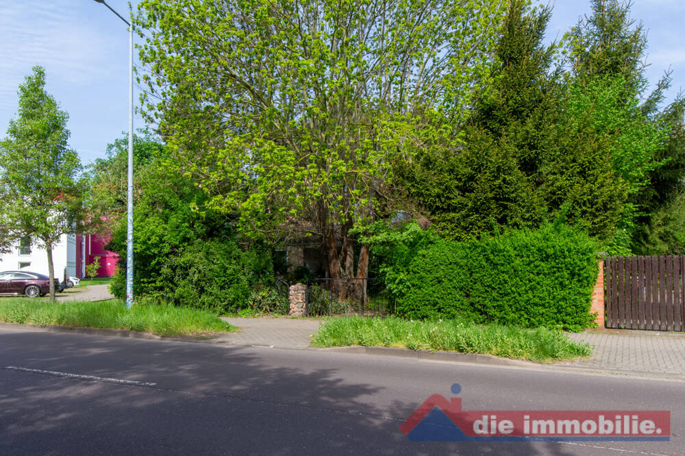 Bild 4