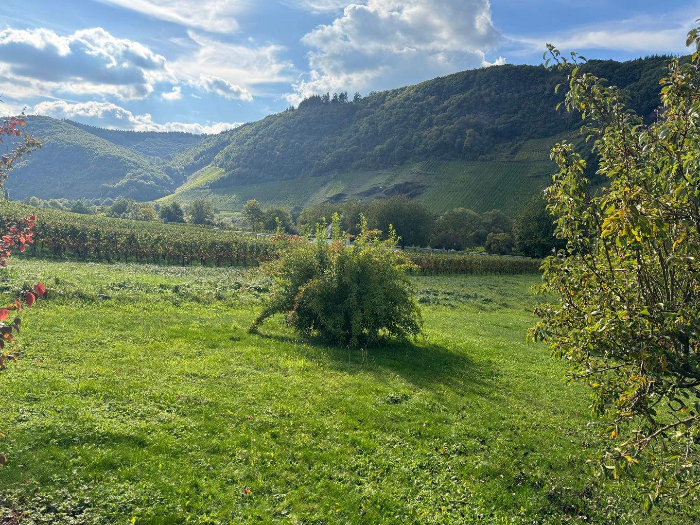 image-69987509