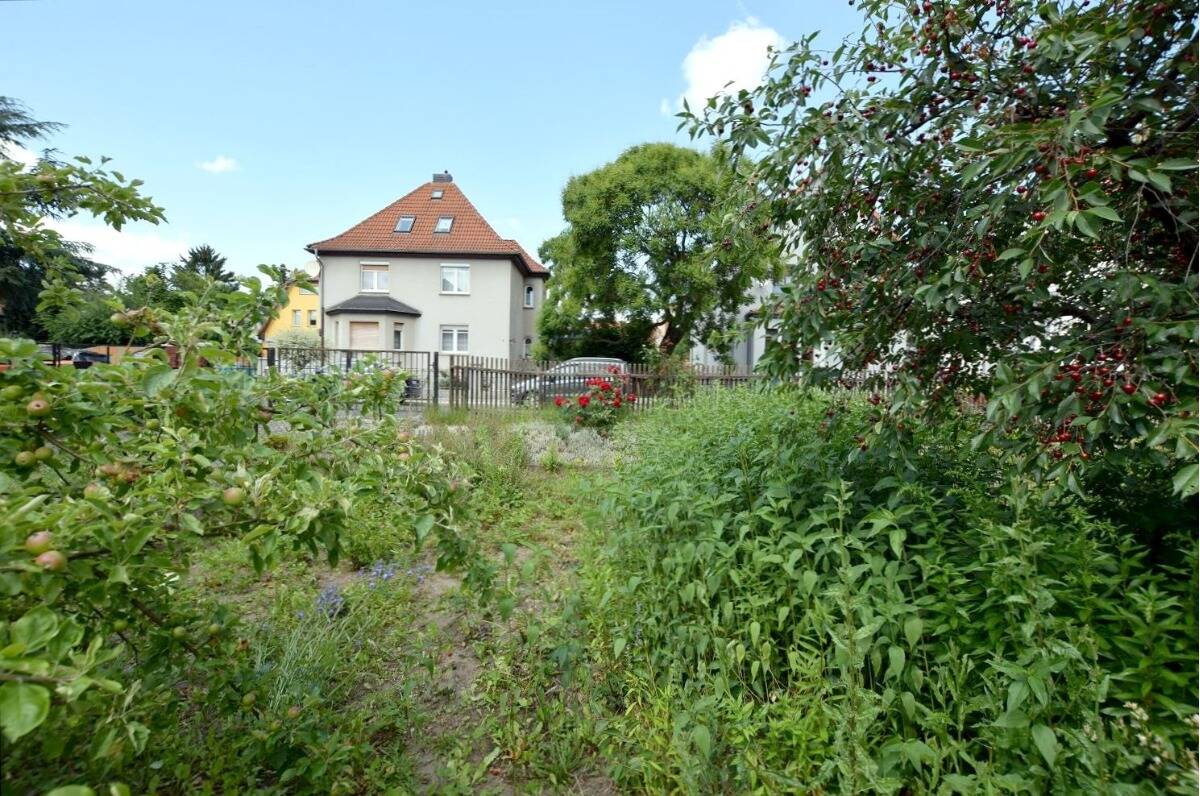 Bild 7