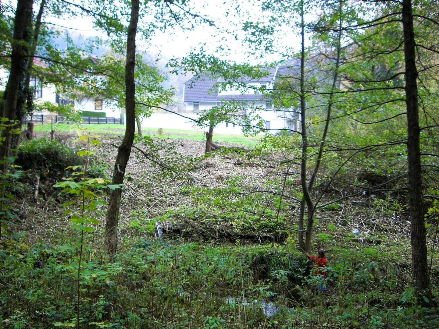Bild 4