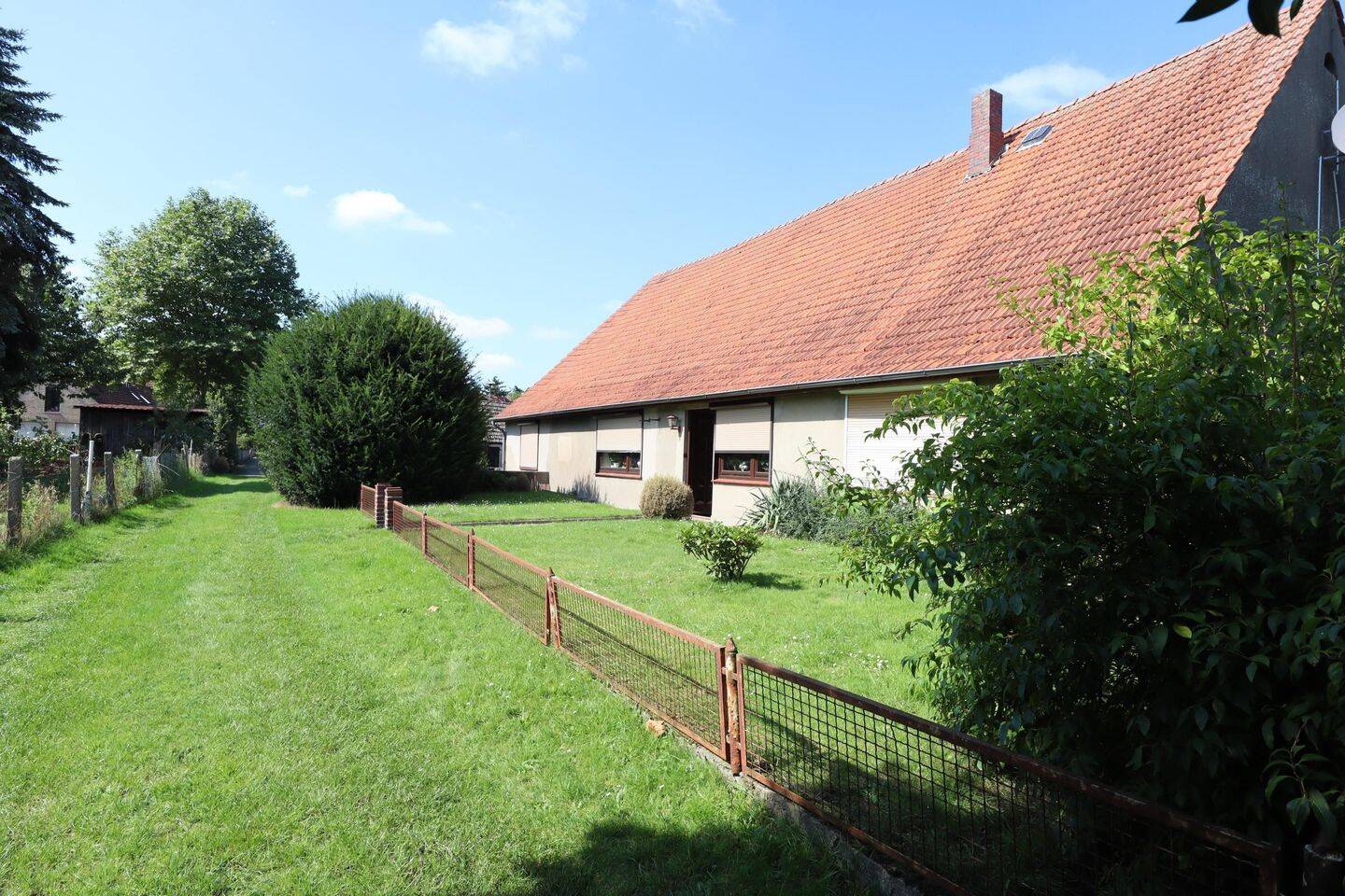 Bild 5