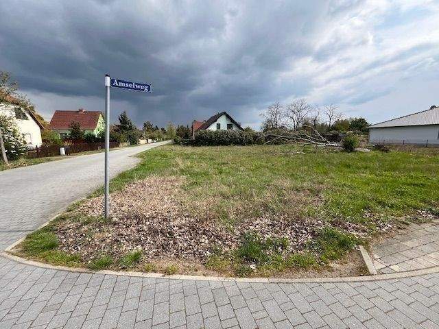Bild 7