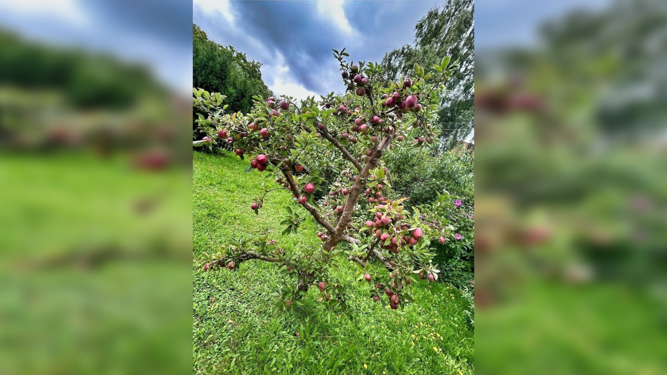 Bild 11