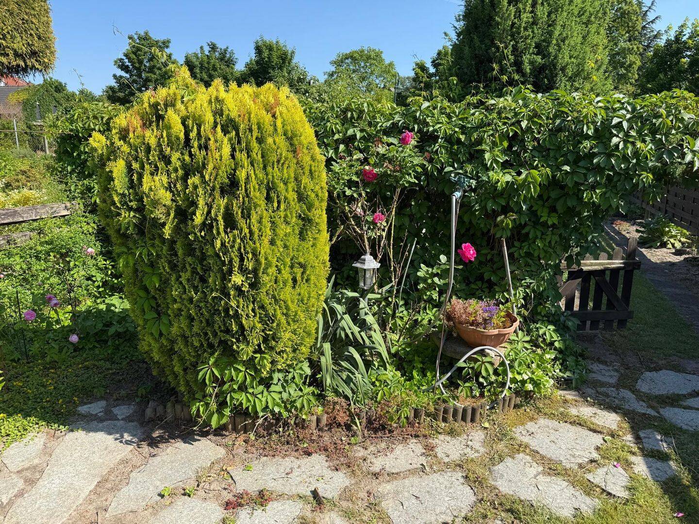 Bild 10