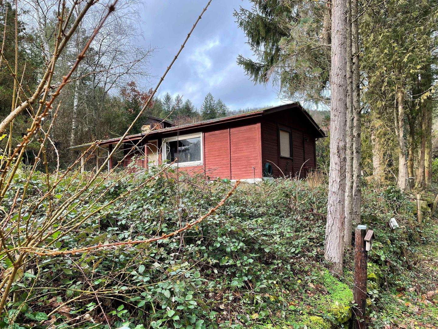 Bild 5