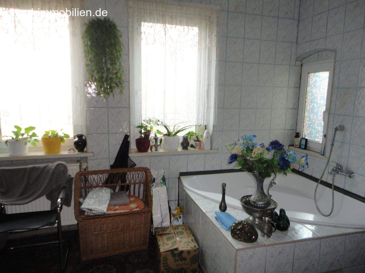 Bild 11