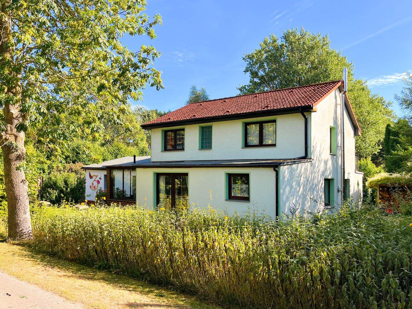 Bild 5