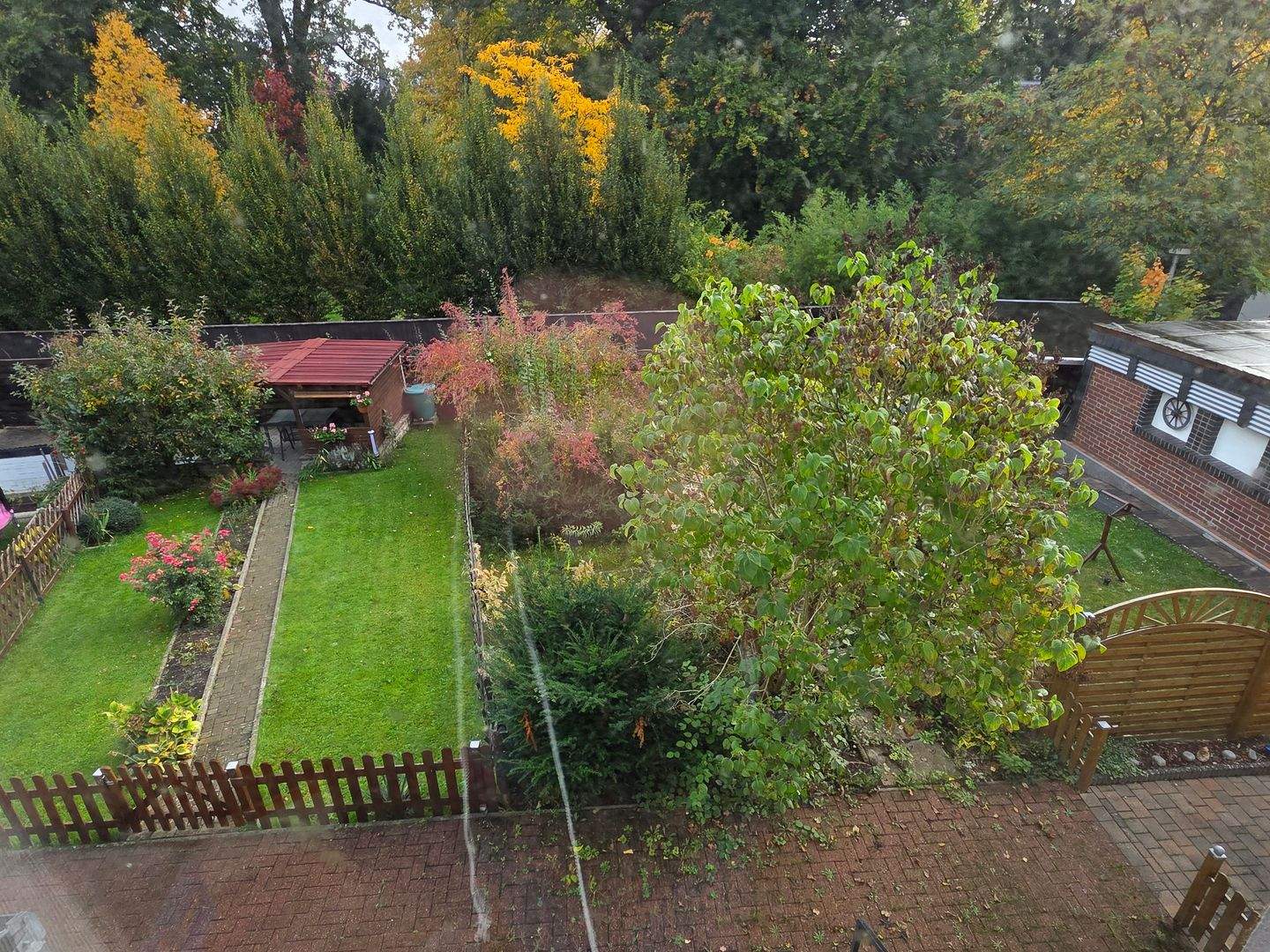Bild 11