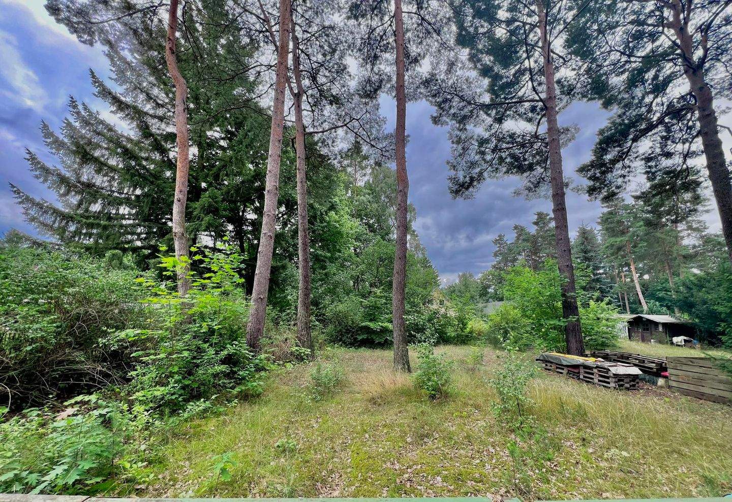 image-69992176