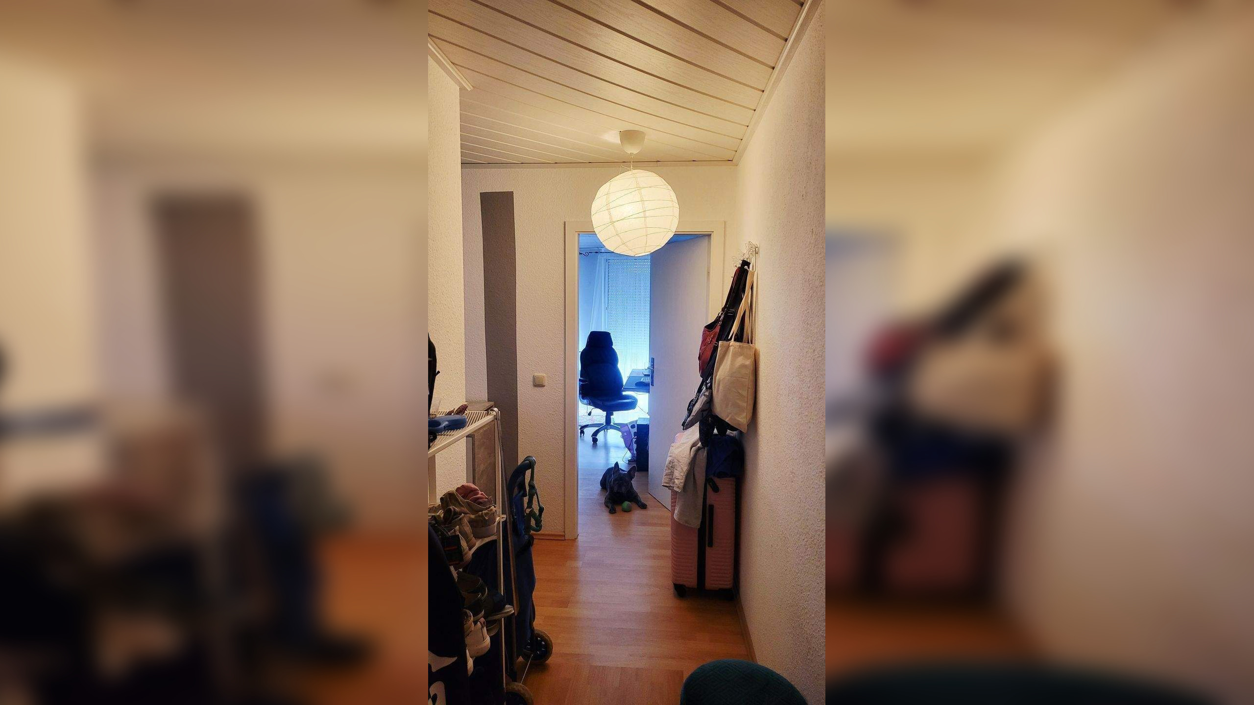 Bild 6