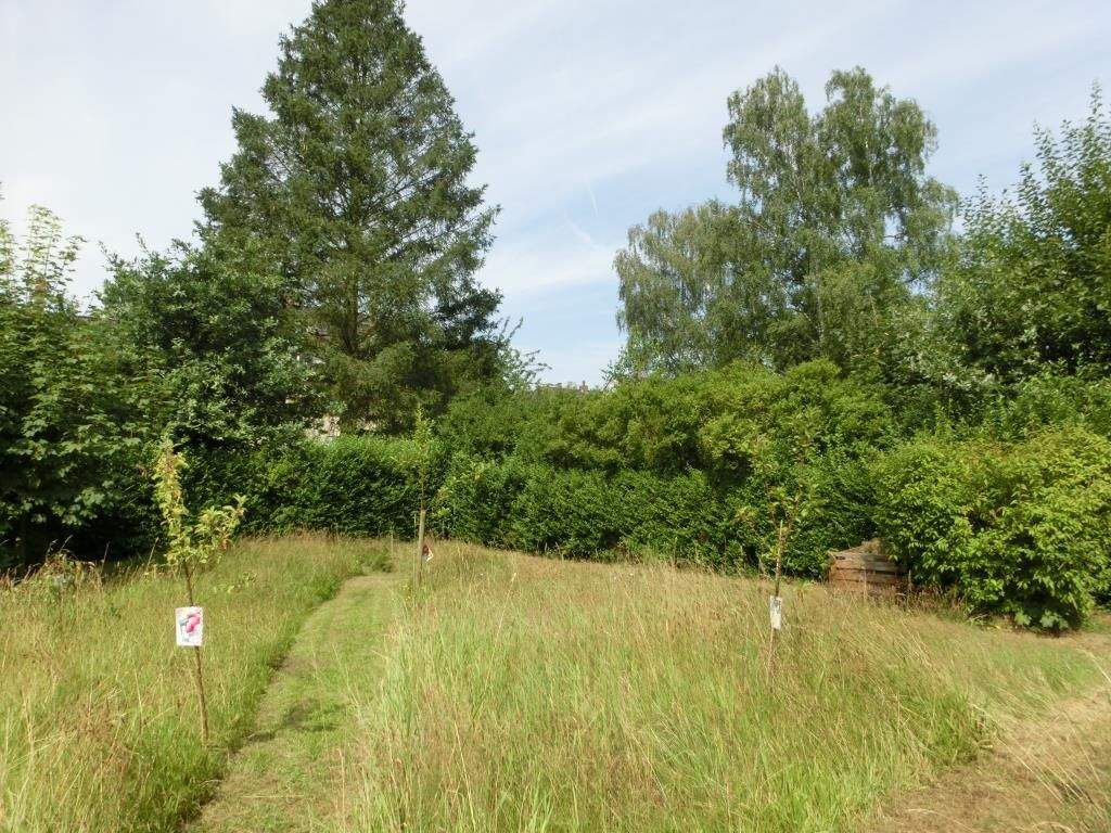 Bild 6