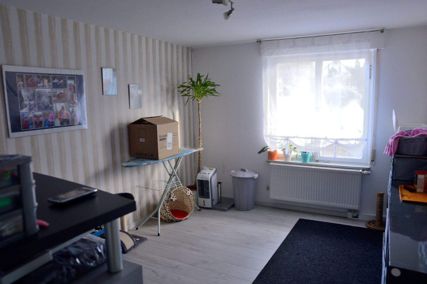 Bild 4