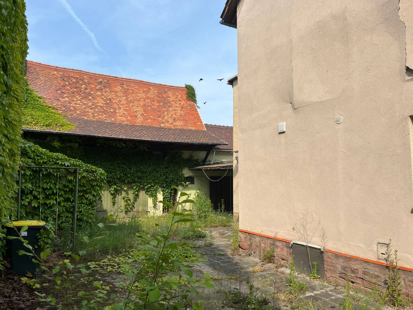 Bild 6