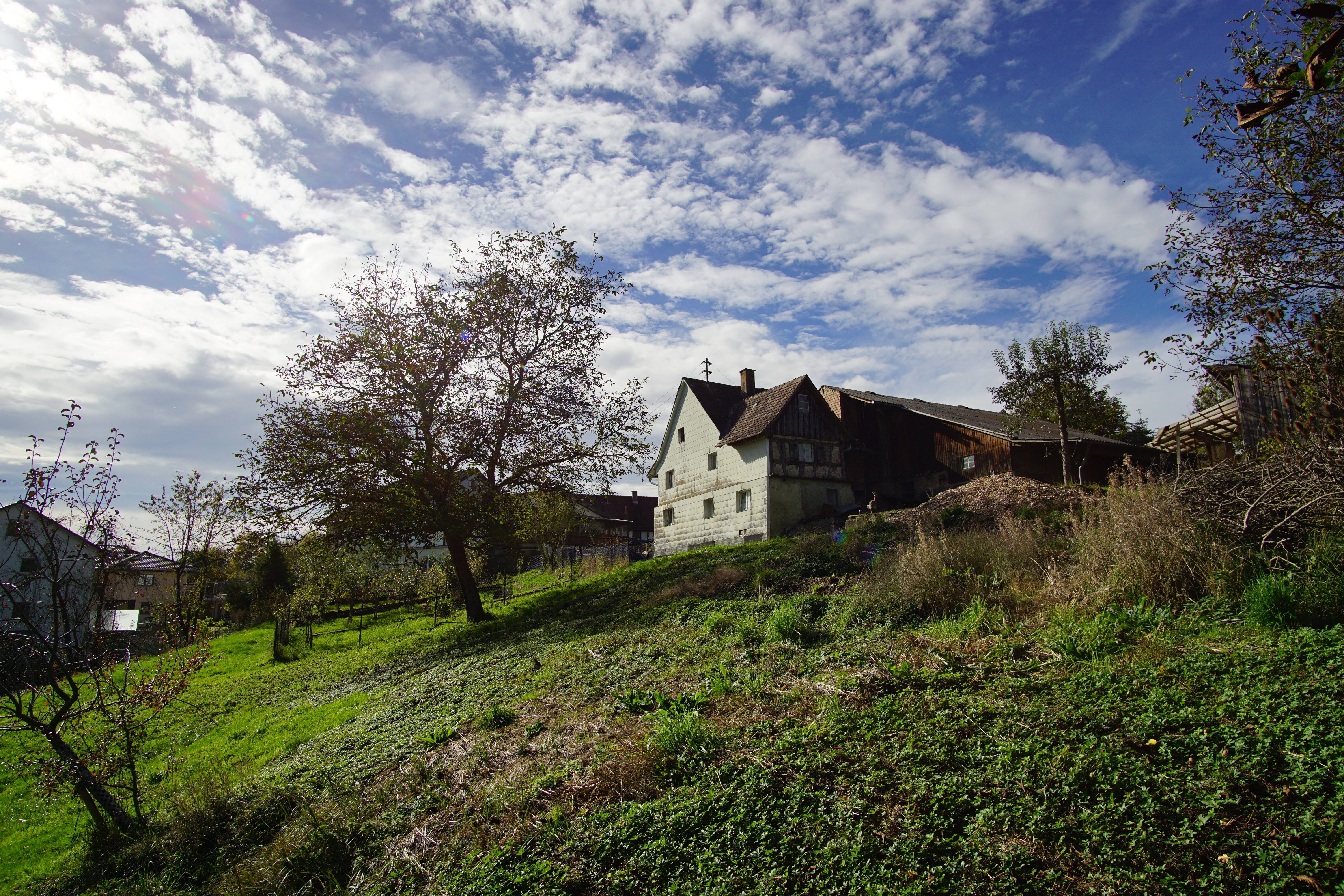 Bild 6