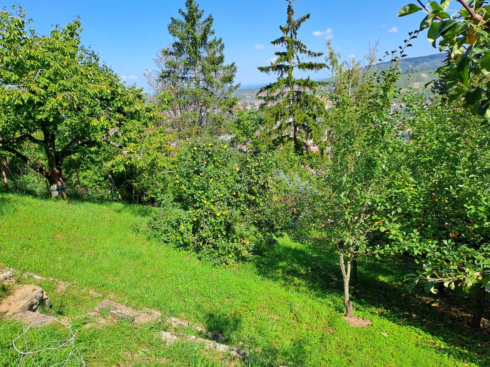 Bild 7