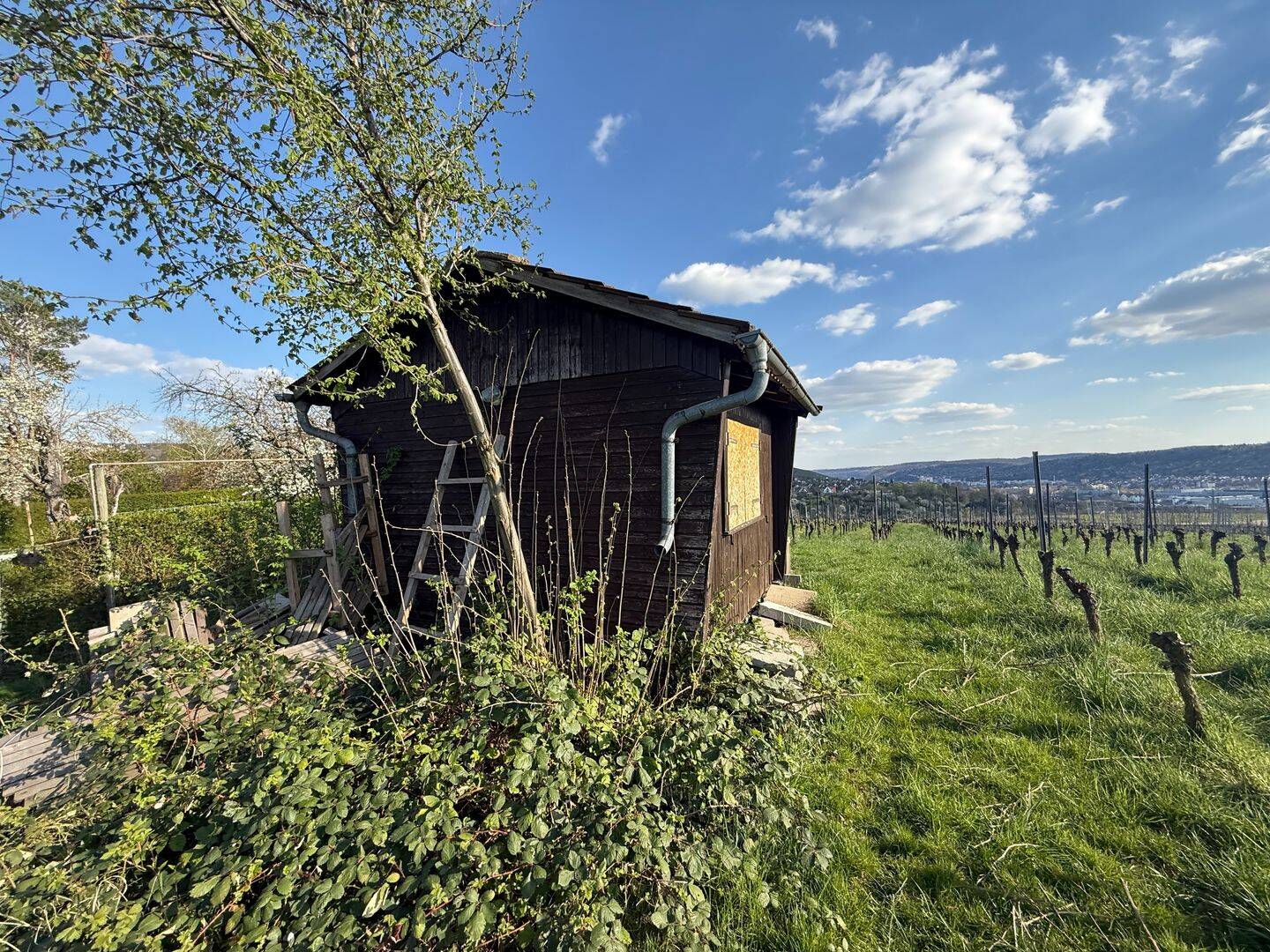 Bild 8