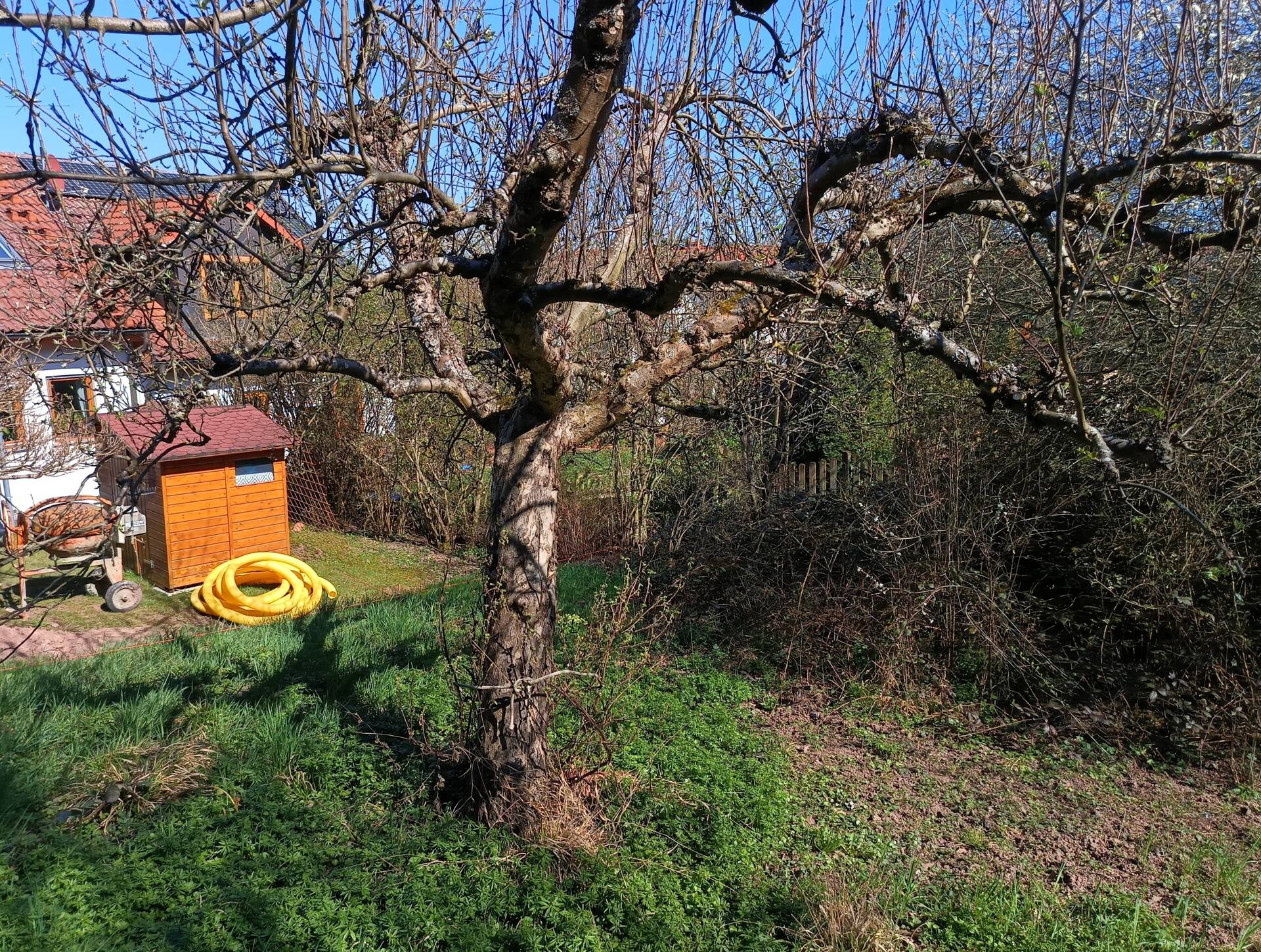 Bild 9