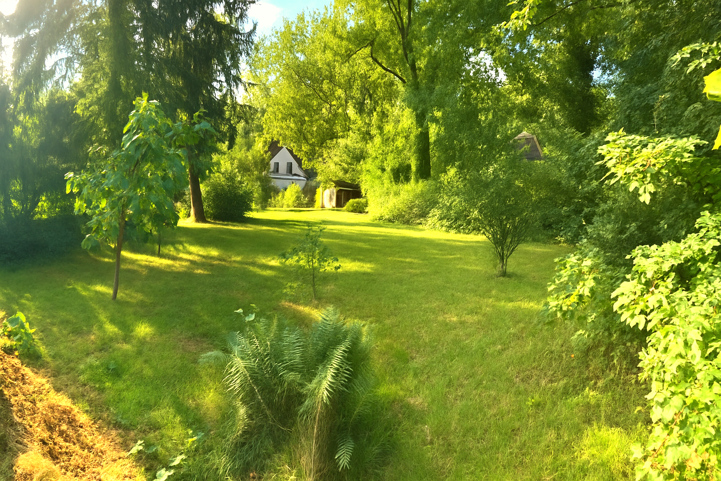 Bild 7