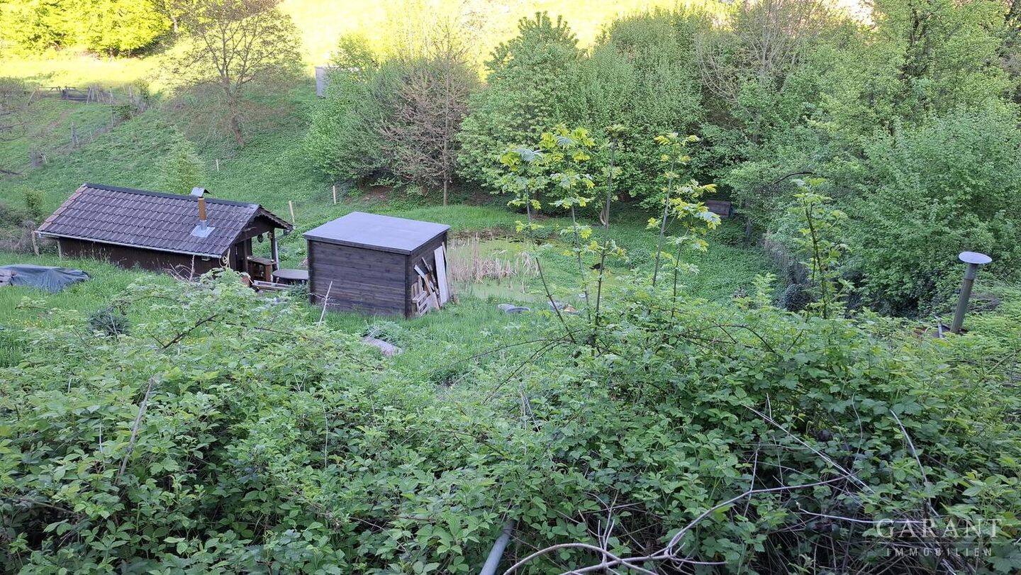 Bild 11