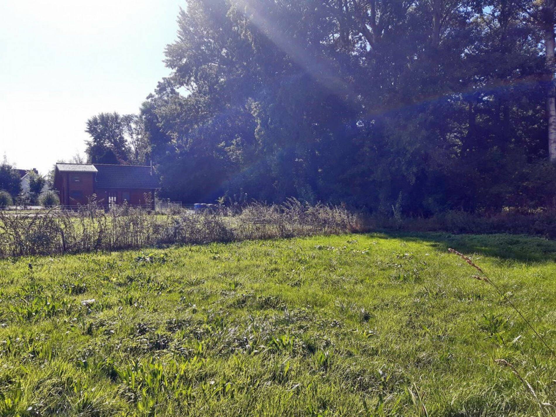 Bild 11