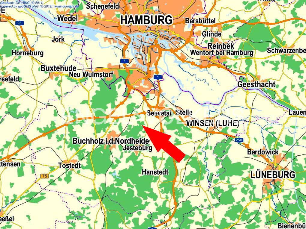 Bild 7